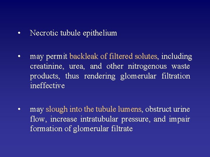  • Necrotic tubule epithelium • may permit backleak of filtered solutes, including creatinine,