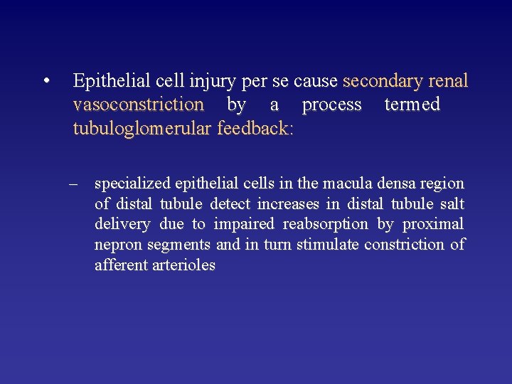  • Epithelial cell injury per se cause secondary renal vasoconstriction by a process