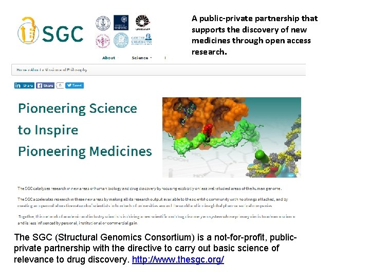 A public-private partnership that supports the discovery of new medicines through open access research.