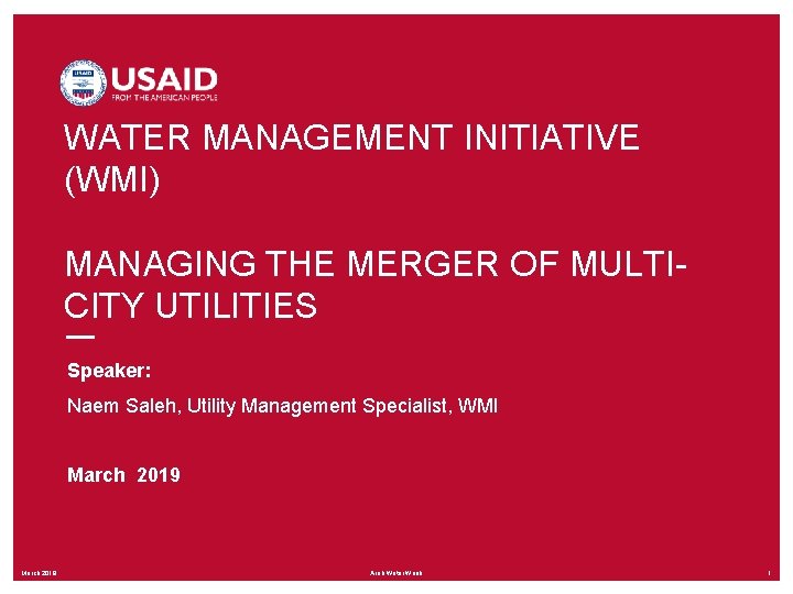 WATER MANAGEMENT INITIATIVE (WMI) MANAGING THE MERGER OF MULTICITY UTILITIES Speaker: Naem Saleh, Utility