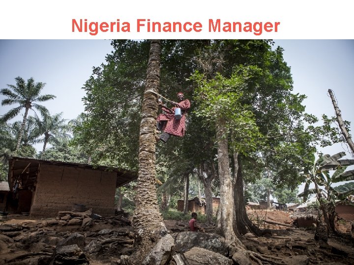 Nigeria Finance Manager 