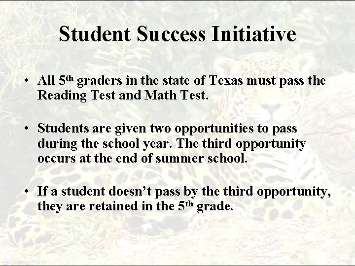 Student Success Initiative • All 5 th graders in the state of Texas must