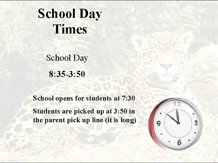 School Day Times School Day 8: 35 -3: 50 School opens for students at