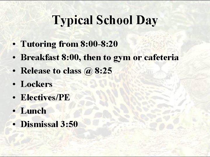 Typical School Day • • Tutoring from 8: 00 -8: 20 Breakfast 8: 00, Typical School Day • • Tutoring from 8: 00 -8: 20 Breakfast 8: 00,