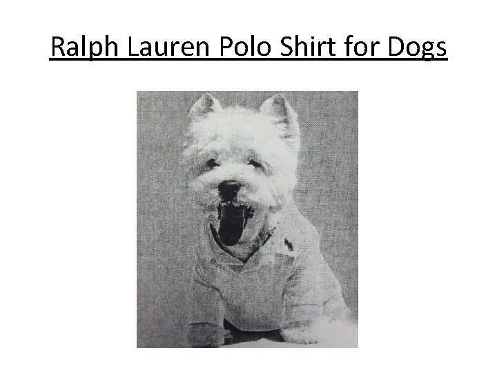 Ralph Lauren Polo Shirt for Dogs 