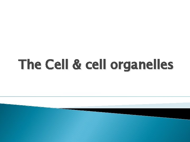 The Cell & cell organelles 