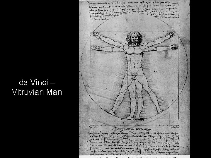 da Vinci – Vitruvian Man da Vinci – Vitruvian Man