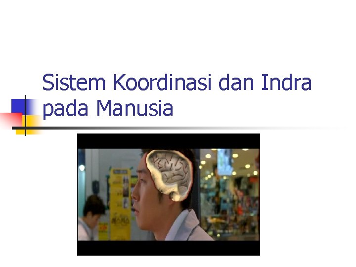 Sistem Koordinasi dan Indra pada Manusia 