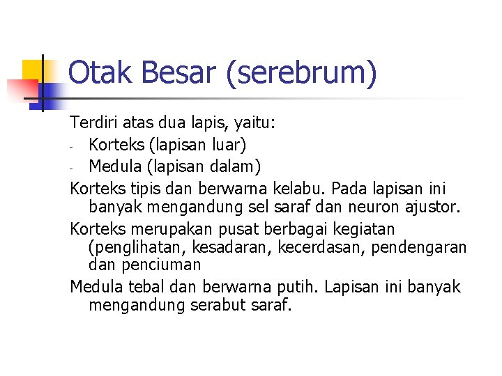 Otak Besar (serebrum) Terdiri atas dua lapis, yaitu: - Korteks (lapisan luar) - Medula