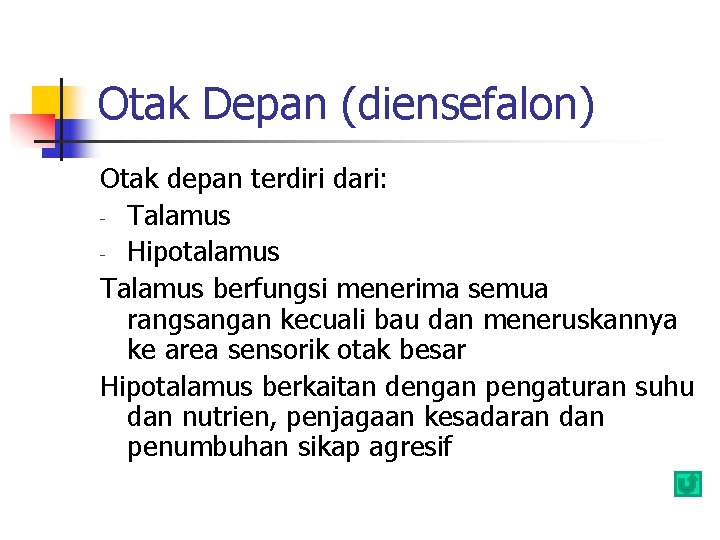 Otak Depan (diensefalon) Otak depan terdiri dari: - Talamus - Hipotalamus Talamus berfungsi menerima