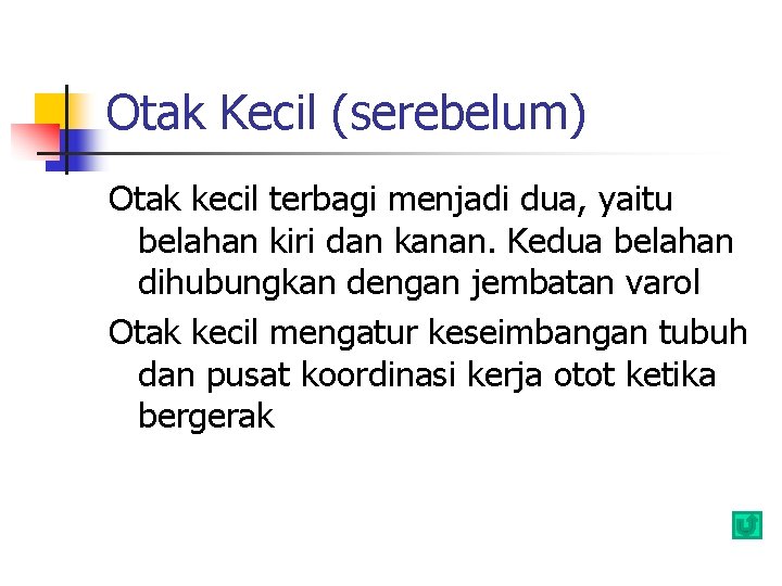 Otak Kecil (serebelum) Otak kecil terbagi menjadi dua, yaitu belahan kiri dan kanan. Kedua