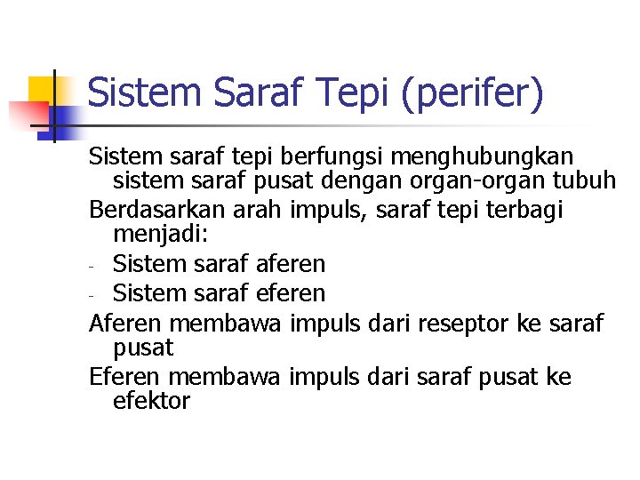 Sistem Saraf Tepi (perifer) Sistem saraf tepi berfungsi menghubungkan sistem saraf pusat dengan organ-organ