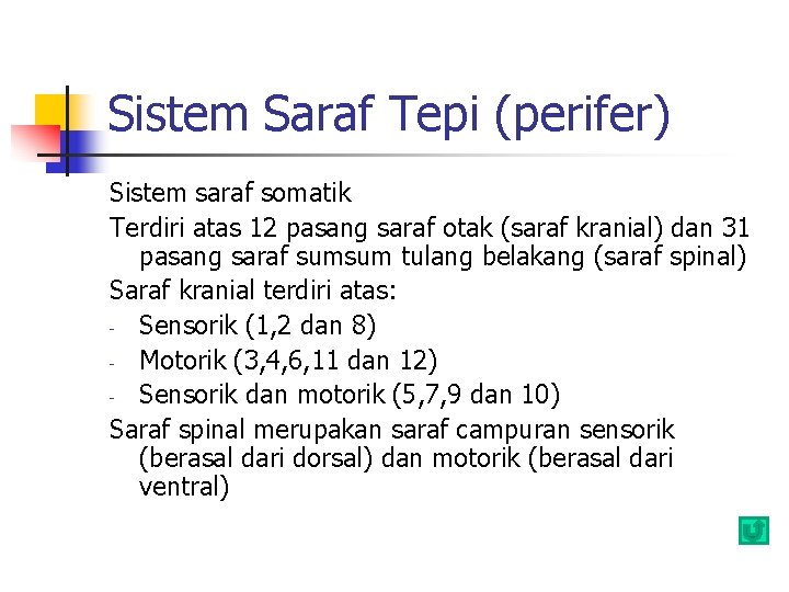 Sistem Saraf Tepi (perifer) Sistem saraf somatik Terdiri atas 12 pasang saraf otak (saraf