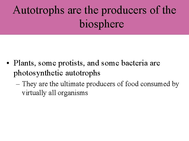 Autotrophs are the producers of the biosphere • Plants, some protists, and some bacteria