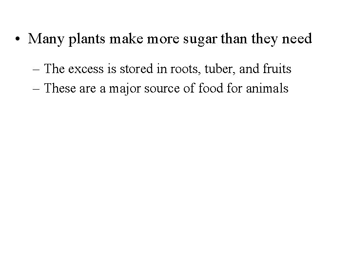  • Many plants make more sugar than they need – The excess is