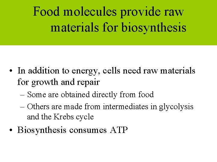 Food molecules provide raw materials for biosynthesis • In addition to energy, cells need
