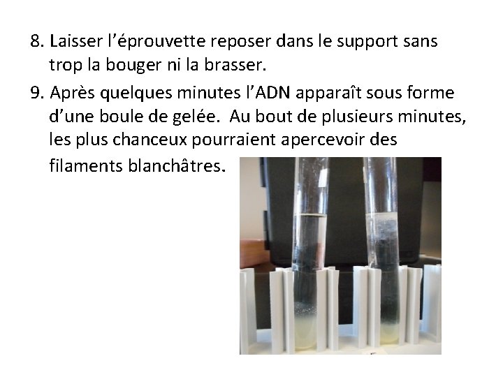 8. Laisser l’éprouvette reposer dans le support sans trop la bouger ni la brasser.