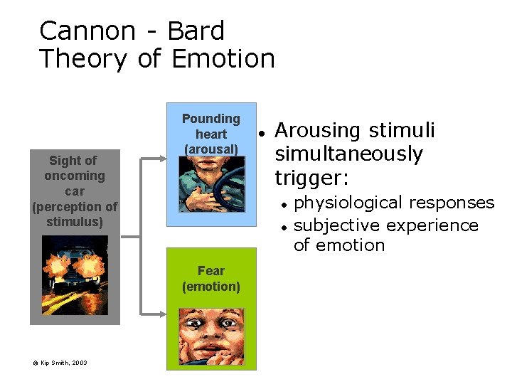 Cannon - Bard Theory of Emotion Sight of oncoming car (perception of stimulus) Pounding Cannon - Bard Theory of Emotion Sight of oncoming car (perception of stimulus) Pounding