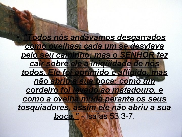  • "Todos nós andávamos desgarrados como ovelhas; cada um se desviava pelo seu