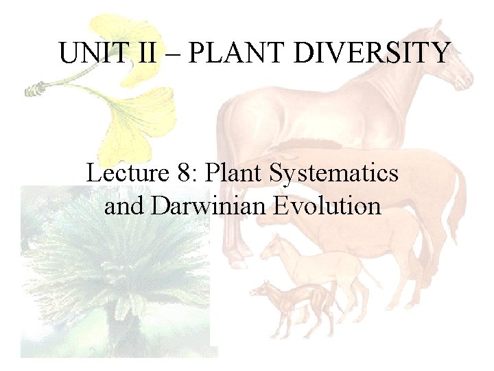 UNIT II – PLANT DIVERSITY Lecture 8: Plant Systematics and Darwinian Evolution 