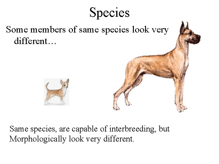 Species Some members of same species look very different… Same species, are capable of