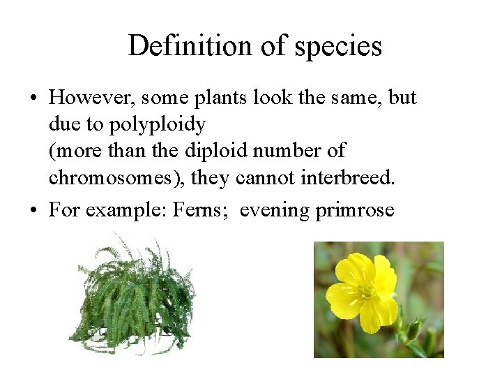 Definition of species • However, some plants look the same, but due to polyploidy