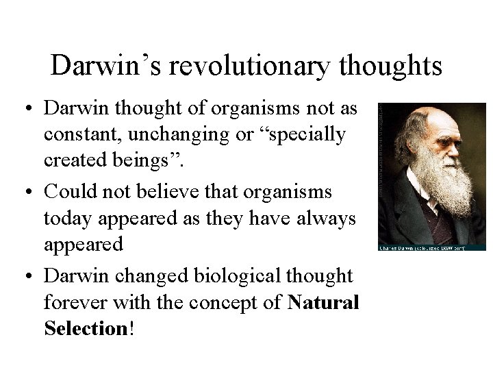 Darwin’s revolutionary thoughts • Darwin thought of organisms not as constant, unchanging or “specially