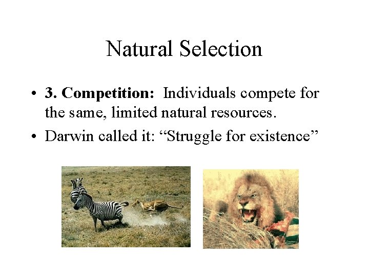 Natural Selection • 3. Competition: Individuals compete for the same, limited natural resources. •