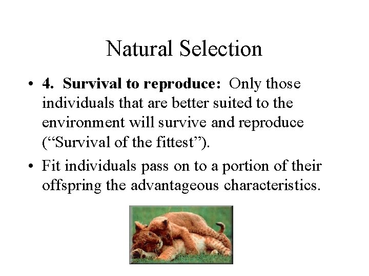 Natural Selection • 4. Survival to reproduce: Only those individuals that are better suited