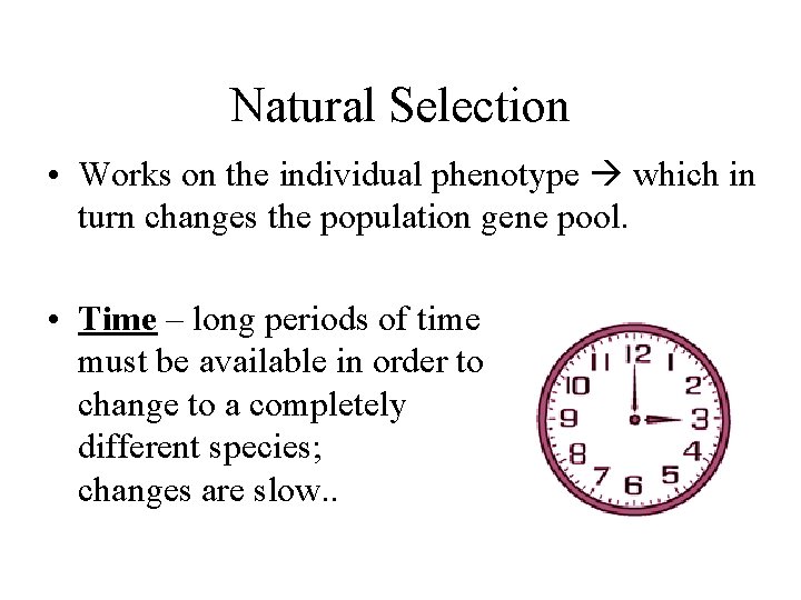 Natural Selection • Works on the individual phenotype which in turn changes the population