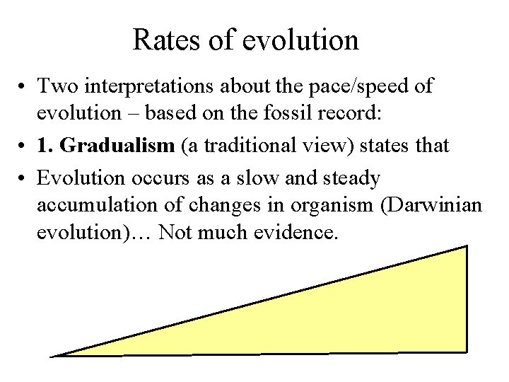 Rates of evolution • Two interpretations about the pace/speed of evolution – based on