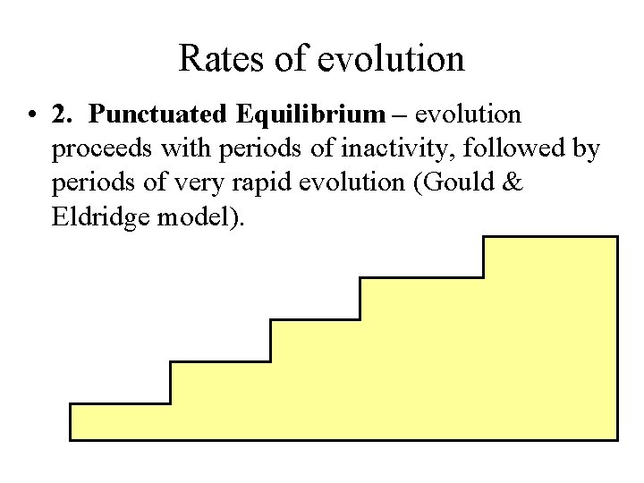 Rates of evolution • 2. Punctuated Equilibrium – evolution proceeds with periods of inactivity,