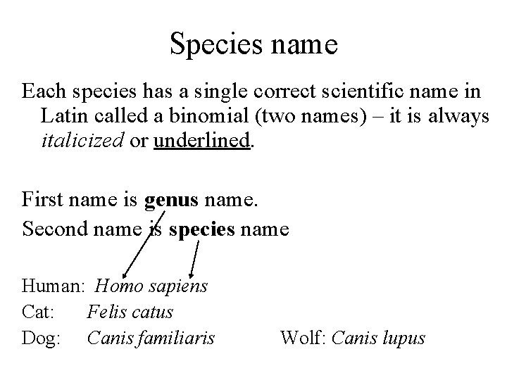 Species name Each species has a single correct scientific name in Latin called a