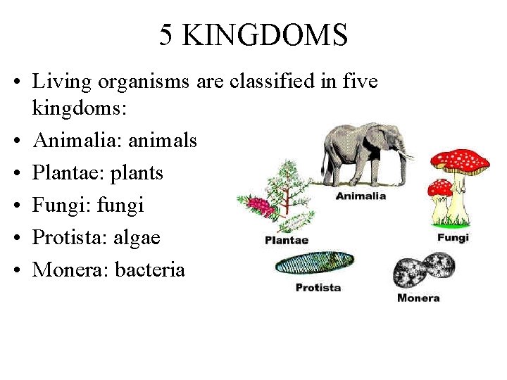 5 KINGDOMS • Living organisms are classified in five kingdoms: • Animalia: animals •