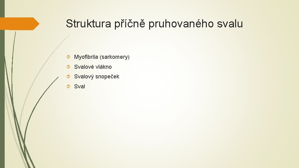 Struktura příčně pruhovaného svalu Myofibrila (sarkomery) Svalové vlákno Svalový snopeček Sval Struktura příčně pruhovaného svalu Myofibrila (sarkomery) Svalové vlákno Svalový snopeček Sval