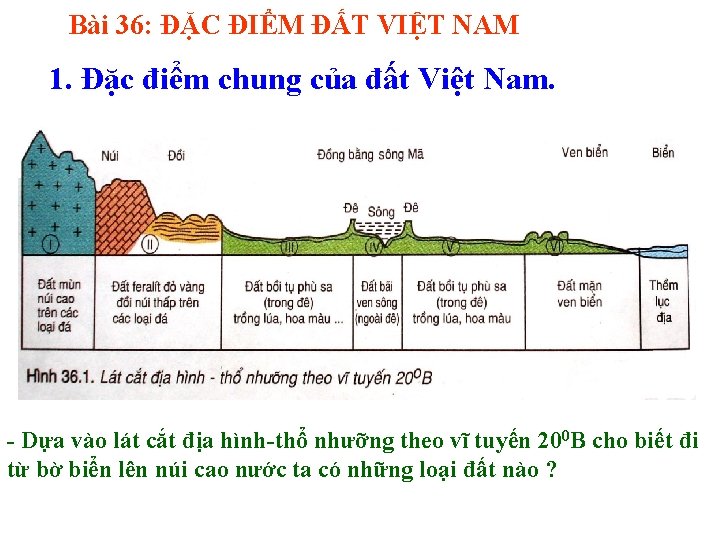 Bài 36: ĐẶC ĐIỂM ĐẤT VIỆT NAM 1. Đặc điểm chung của đất Việt