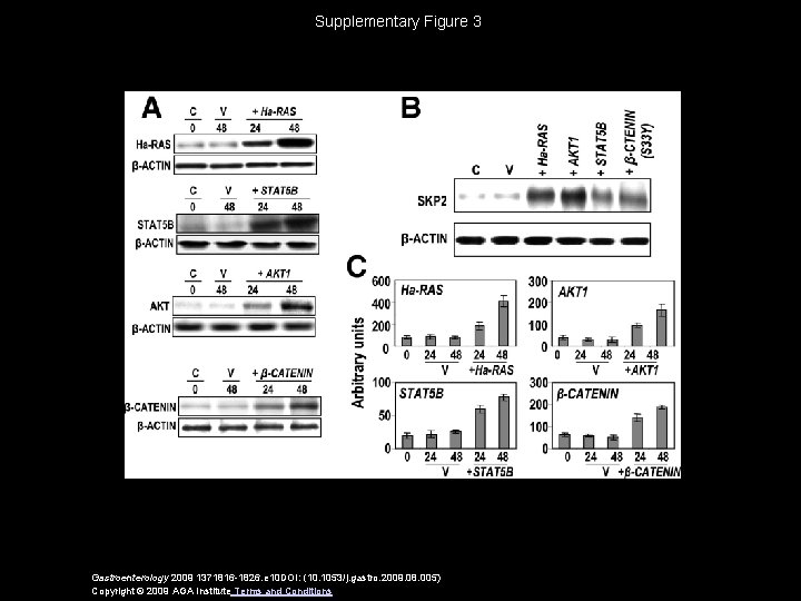Supplementary Figure 3 Gastroenterology 2009 1371816 -1826. e 10 DOI: (10. 1053/j. gastro. 2009.