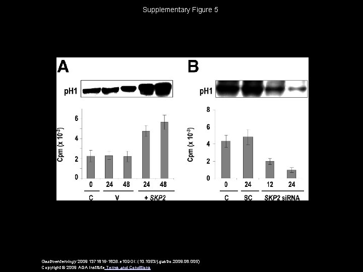 Supplementary Figure 5 Gastroenterology 2009 1371816 -1826. e 10 DOI: (10. 1053/j. gastro. 2009.