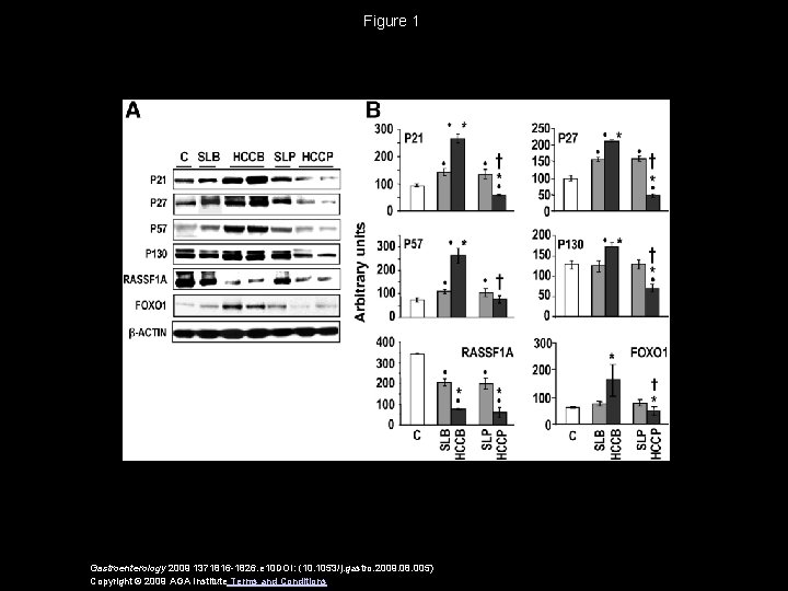 Figure 1 Gastroenterology 2009 1371816 -1826. e 10 DOI: (10. 1053/j. gastro. 2009. 08.