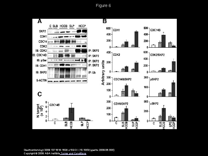 Figure 6 Gastroenterology 2009 1371816 -1826. e 10 DOI: (10. 1053/j. gastro. 2009. 08.