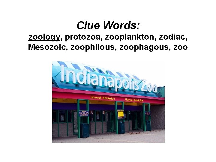 Clue Words: zoology, protozoa, zooplankton, zodiac, Mesozoic, zoophilous, zoophagous, zoo 