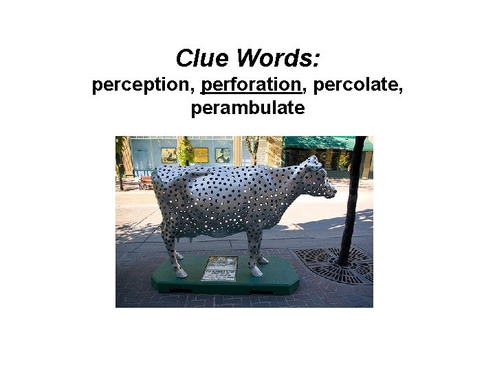 Clue Words: perception, perforation, percolate, perambulate 