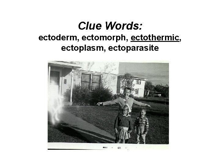 Clue Words: ectoderm, ectomorph, ectothermic, ectoplasm, ectoparasite 