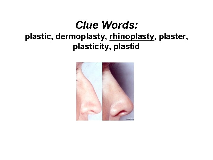 Clue Words: plastic, dermoplasty, rhinoplasty, plaster, plasticity, plastid 