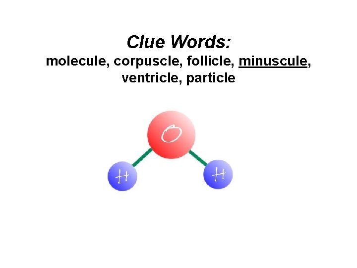 Clue Words: molecule, corpuscle, follicle, minuscule, ventricle, particle 