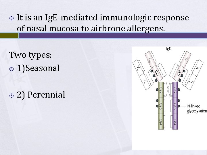 It is an Ig. E-mediated immunologic response of nasal mucosa to airbrone allergens. It is an Ig. E-mediated immunologic response of nasal mucosa to airbrone allergens.