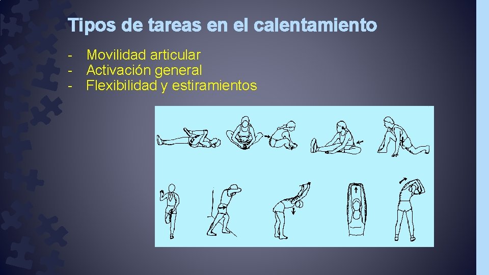 Tipos de tareas en el calentamiento - Movilidad articular - Activación general - Flexibilidad