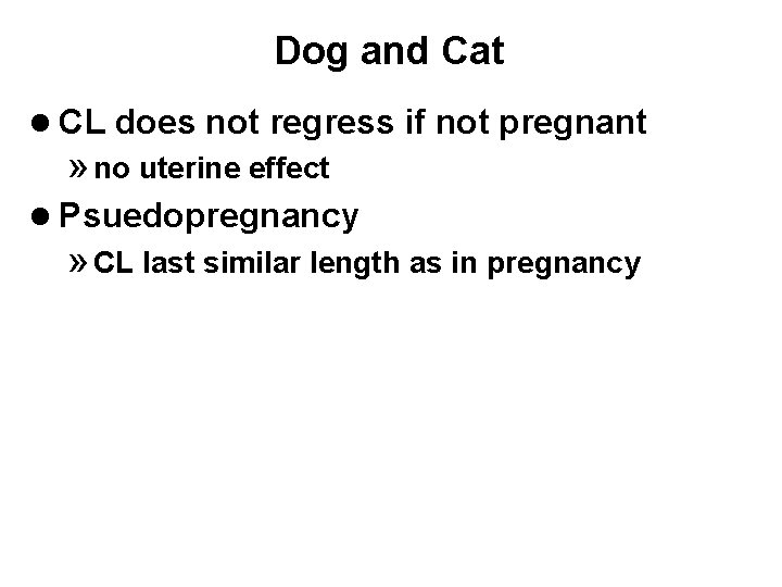 Dog and Cat l CL does not regress if not pregnant » no uterine