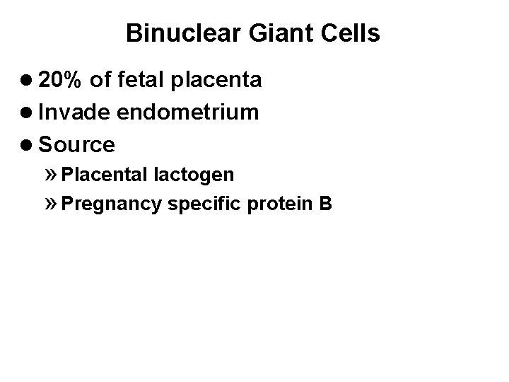 Binuclear Giant Cells l 20% of fetal placenta l Invade endometrium l Source »