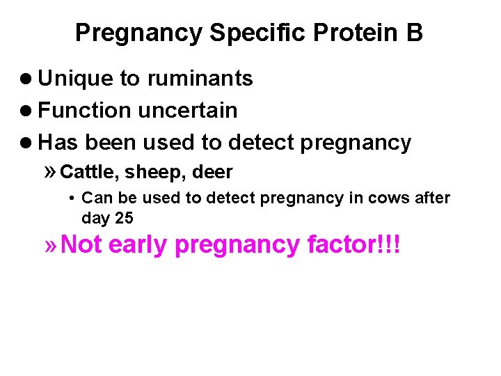 Pregnancy Specific Protein B l Unique to ruminants l Function uncertain l Has been